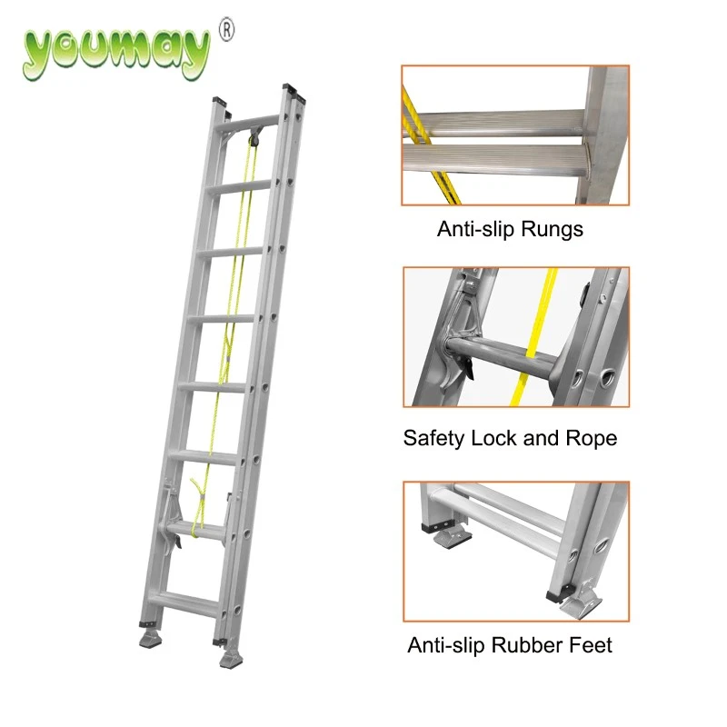 product-1200-1200 product-1200-1200
